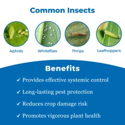 Shivalik Sactara - Thiamethoxam 25% WG Insecticide, Best Use Against Brown Plant Hopper, Green Leaf hopper etc 3