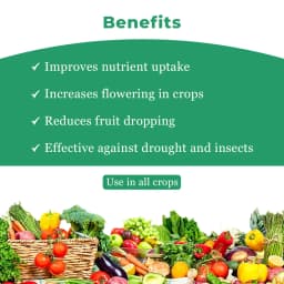Agrigib - Gibberellic Acid 0.001% L 4