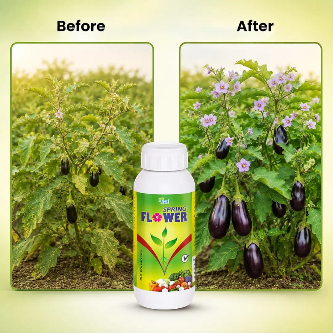 Spring Flower - Special Plant Bio-Stimulant for Enhancing Flowering and Promoting Rapid Growth - Image 6