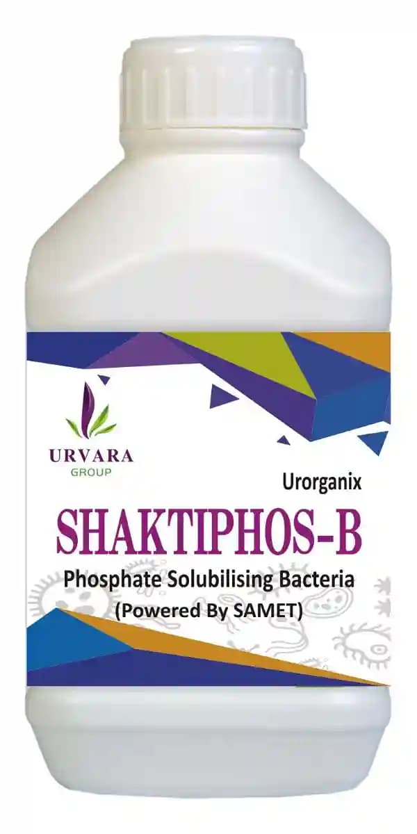 Shaktiphos B - Phosphate Solubilizing Bacteria for phosphate solubilization and making available phosphorus in soil - Image 2