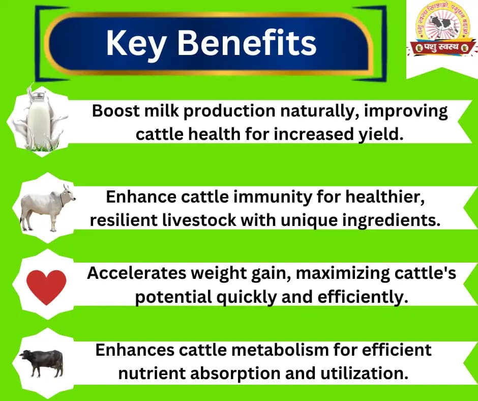 PASHU SVASTH SPECIAL PROTEIN POWDER, Efficient For Muscle Strength & Metabolism In Cattle - Image 2