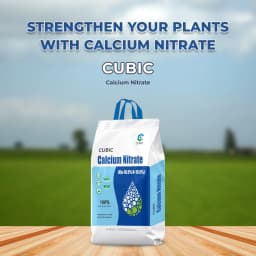 Cubic Calcium Nitrate, 100% Water Soluble, 15.5% Nitrogen (N) and 18.5% Calcium (Ca) 2