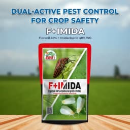 EBS F+Imida Insecticide 2