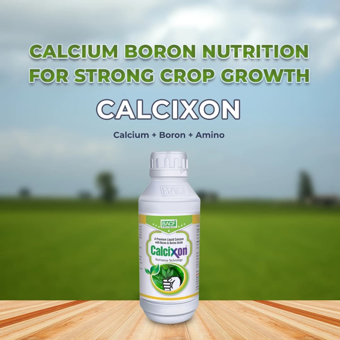 Calcixon Cal-SL Fertilizer - Calcium + Boron + Amino acid - Image 2