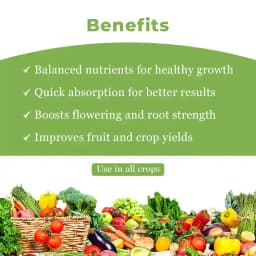 Farmtone NPK 19:19:19 Fertilizer 4