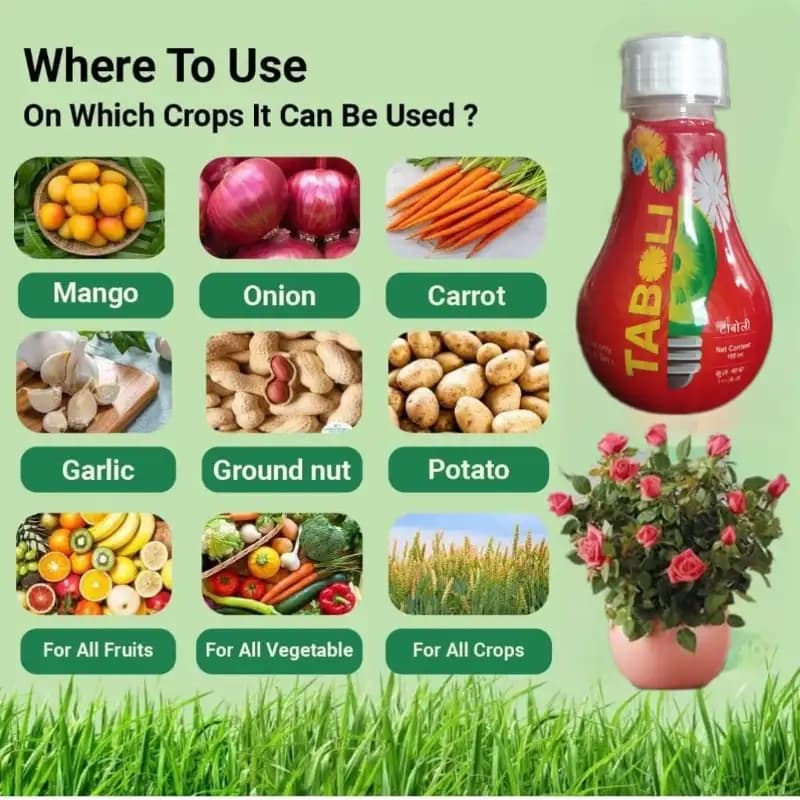 Sumitomo Taboli Plant Growth Promoter, Controls Tree Vigour, Reduces Pruning costs. - Image 6