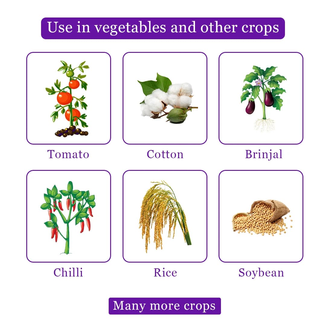 HPM Tathastu Insecticide - Image 4