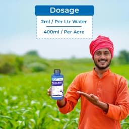 Hexario Fungicide - Hexaconazole 5% SC 5