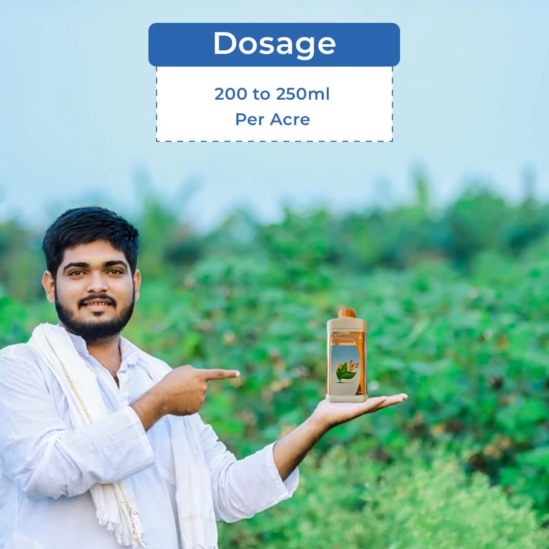 Adama Flamberge Natural Bio-Stimulant, Natural Proteins Into Peptides And Amino Acids In Crops - Image 5