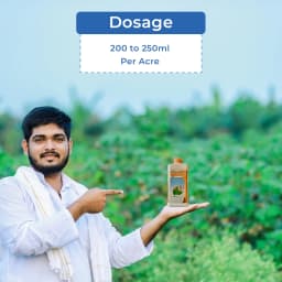 Adama Flamberge Natural Bio-Stimulant, Natural Proteins Into Peptides And Amino Acids In Crops 5