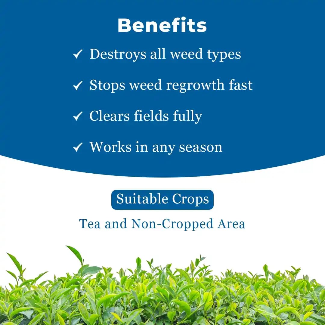 Excel Sumitomo Glycel Glyphosate 41% SL Herbicide, Most Widely Used In Non-Crop and Tea Plantation - Image 4
