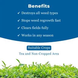 Excel Sumitomo Glycel Glyphosate 41% SL Herbicide, Most Widely Used In Non-Crop and Tea Plantation 4