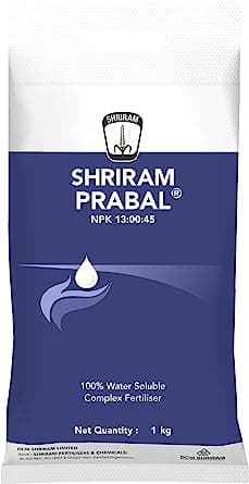 Shriram Prabal NPK 13:00:45 , Potassium Nitrate Water Soluble Fertilizer, For Fruit Development
