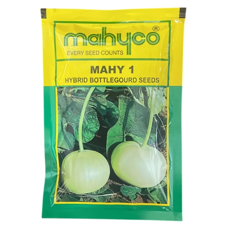 Mahyco Mahy 1 Hybrid Bottle Gourd Seeds, High Yield, Light Green, Flat Round Shape