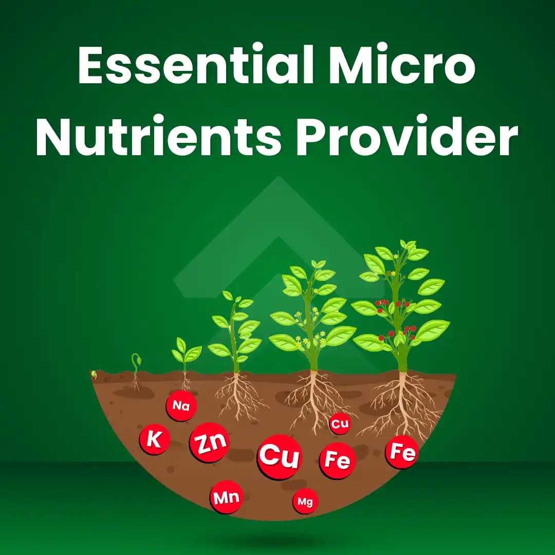 Katyayani Chelated Mix Micronutrient Super For Home Garden, Nursery and Agriculture use Fertilizer - Image 3