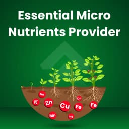 Katyayani Chelated Mix Micronutrient Super For Home Garden, Nursery and Agriculture use Fertilizer 3