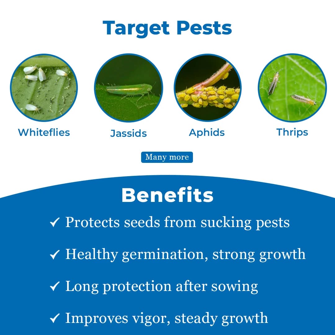 Dhanuka Areva Super Insecticide - Thiamethoxam 30% FS - Image 3