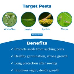 Dhanuka Areva Super Insecticide - Thiamethoxam 30% FS 3