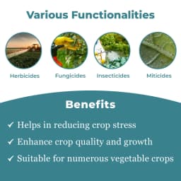 NB-80 Sticking Agent, Used with Herbicides, Insecticides, Fungicides, and Miticides 3