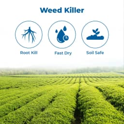 MBF G-40 Glyphosate 41% Systemic Herbicide, For Controlling Weeds of Tea and Non Crop Areas 3