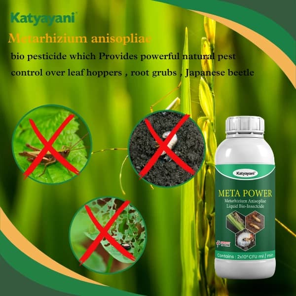 Katyayani Meta Power Metarhizium Anisopliae, Liquid Bio Insecticide, Effective Against a Broad Spectrum of Insects - Image 3