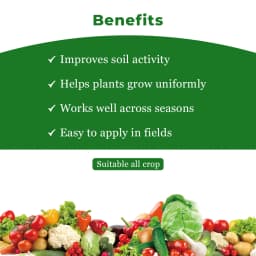 Anand Pancham Granules (Zyme Granules), Unique Formulation to Increase Plant Growth and Yield, Enhances The Root And Shoot Development 4