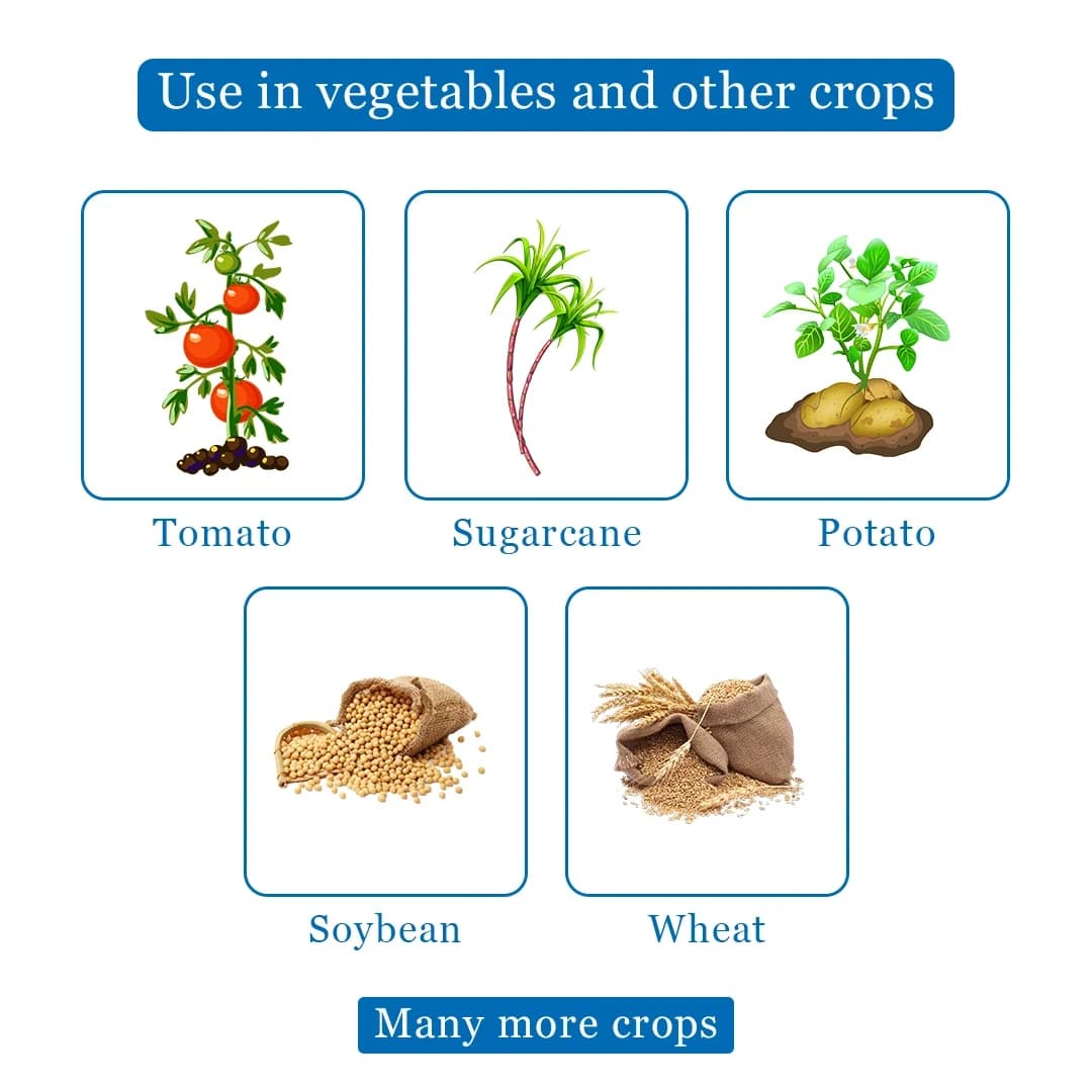 Agriventure Humitite - (Super Potassium Humate 98% Flakes, Humic Acid 70%, K2O 8 To 10%, Fulvic 6%) PGR - Best For All Plants - Image 4