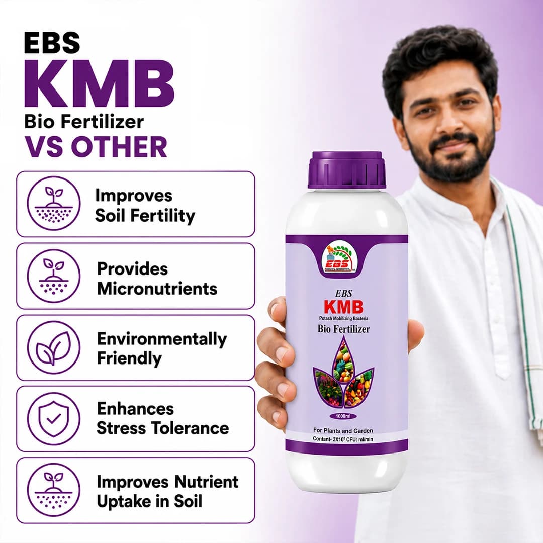 EBS KMB Potash Mobilizing Bacteria Bio Fertilizer, Use for Plants, Crops And Home Garden - Image 7