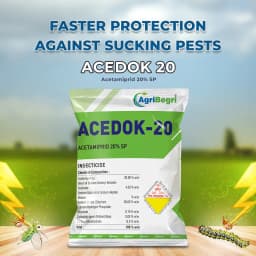 Acedok-20 Insecticide - Acetamiprid 20% SP 2