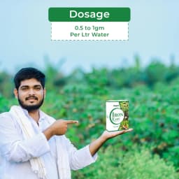 Iron Easy Fe-EDTA 12% Improves Chlorophyll formation, Prevents and Corrects Iron Deficiencies 5