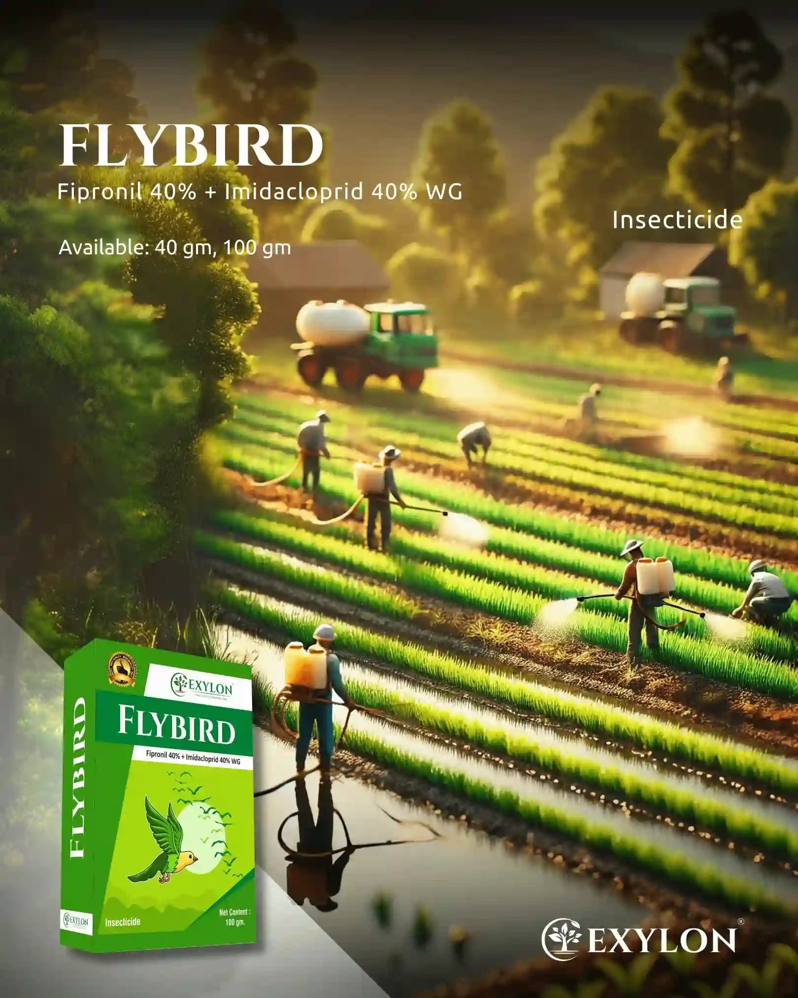 Exylon Flybird Fipronil 40% + Imidacloprid 40% WG Insecticide, Dual-Action, Effective Pest Control