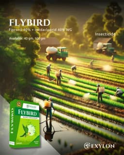 Exylon Flybird Fipronil 40% + Imidacloprid 40% WG Insecticide, Dual-Action, Effective Pest Control 2