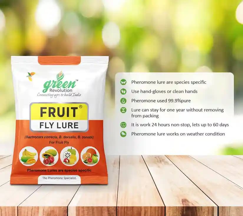 Fruit Fly pheromone Trap Set For 1 Acre and Lure For Bactrocera Correcta, Zonata, Dorsalisa. - Image 10