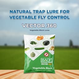 BACF Vector 360 Vegetable Block Lures, Cuelure, Bactrocera Cucurbitae Lures 2