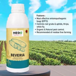 HEDO Beveria (Beauveria Bassiana) Liquid Bio Pesticide, Controls Sucking Pests, Grubs, Termites, And Bollworms Effectively 4