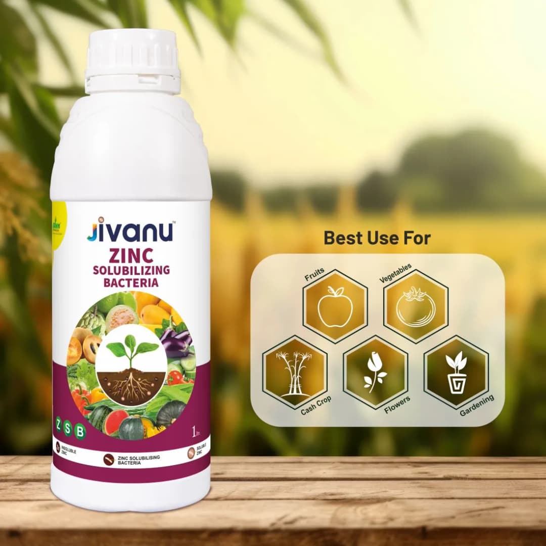 Green Revolution Jivanu ZSB Zinc Solubilizing Bacteria Liquid Bio Fertilizer, Boosts Soil Fertility And Sustainability - Image 7
