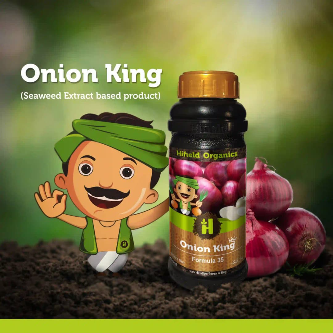 Hifield Onion King Growth Promoter for Onion Phosphorus Up Take and Big Size Onion. - Image 3