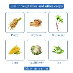 EBS Validaguard Validamycin 3% L Fungicide, Effective Against Soil Borne Diseases 4
