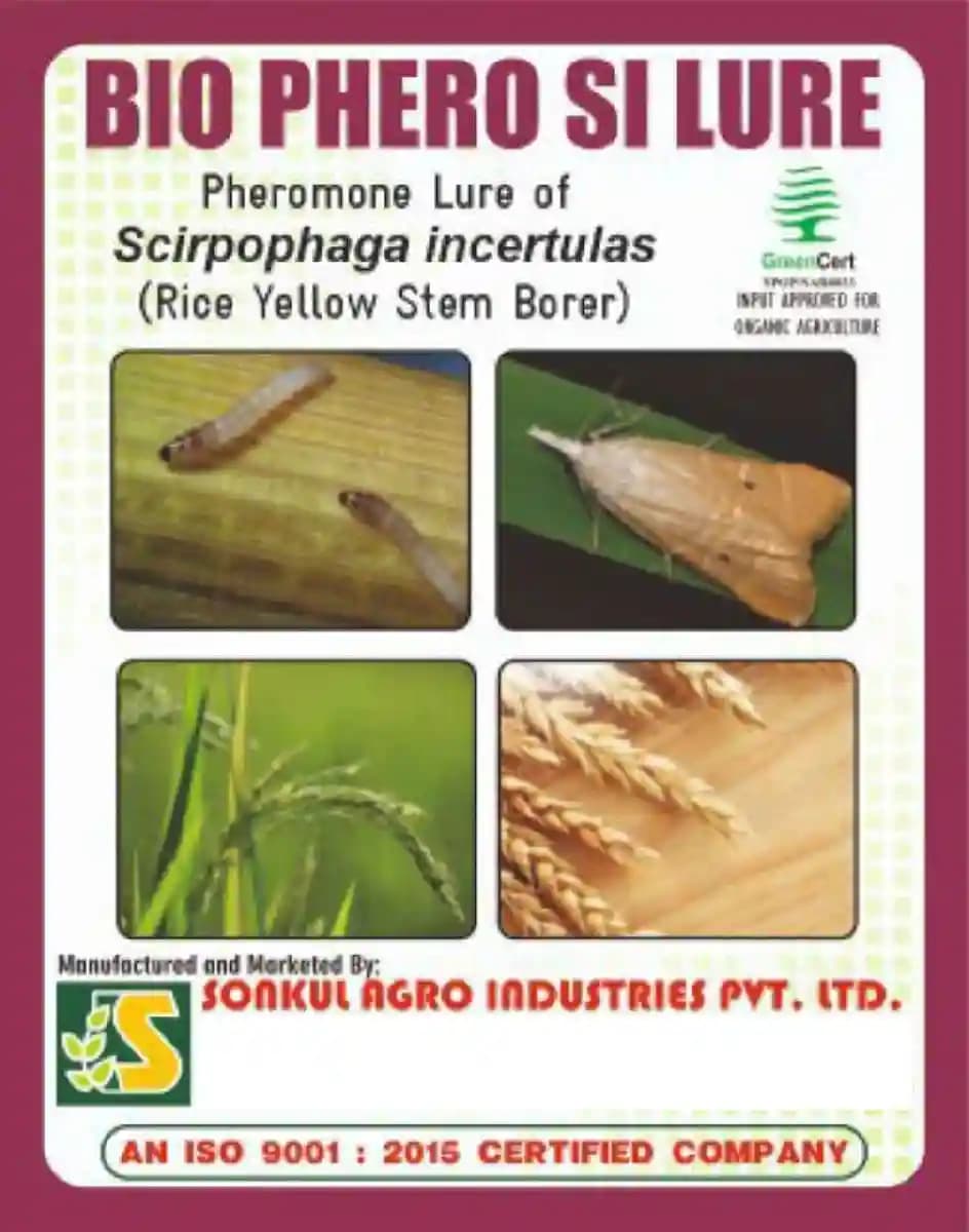 Sonkul Agro Industries Combo Of BIO PHERO SI Scirpophaga Incertulas (Rice Yellow Stem Borer) Lure & Funnel Trap Combo For Paddy Crop - Image 2