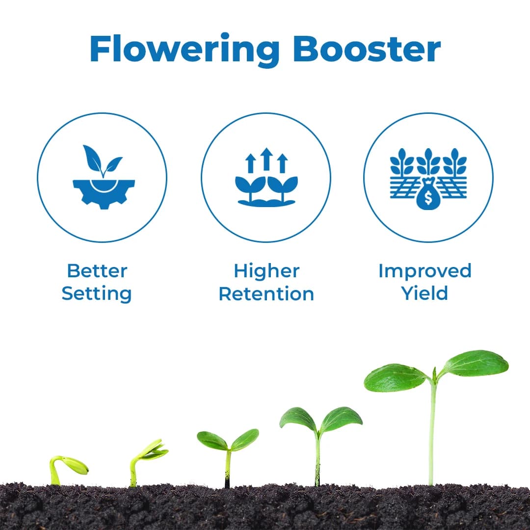 Katyayani Flowering Fertilizer Booster + Mix Micro - Image 3