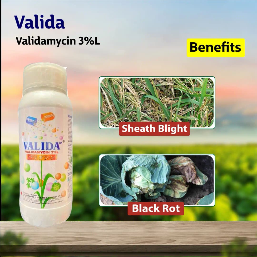 Sumitomo Valida Validamycin 3% L Fungicide, Enhanced Plant Health and Disease Management - Image 2