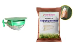SK Agrotech Scirpophaga Incertulas (Rice Yellow Stem Borer) Pheromone Trap With Lure - Effective Control For Rice Yellow Stem Borer 3