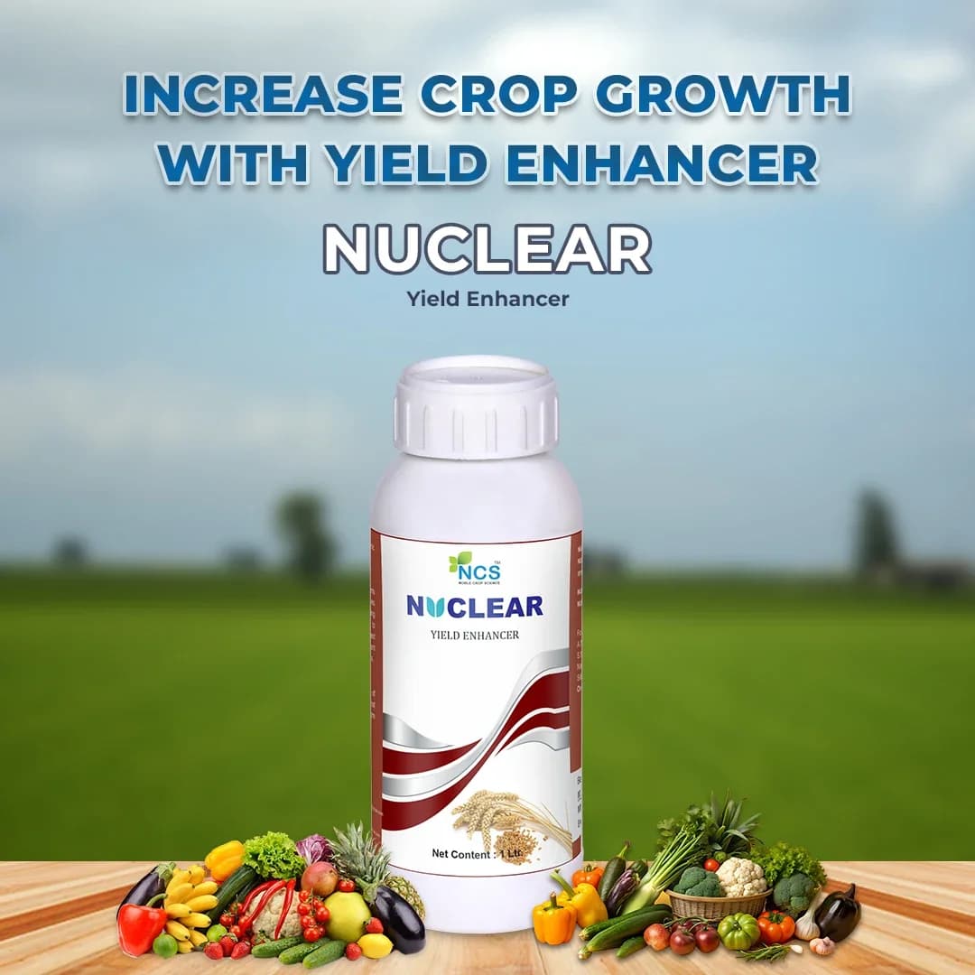 NUCLEAR - Best and Ultimate Yield Enhancer, Combination of Fulvic Acid, A.N.A Acid, S.N.P, NATCA, and Silicon Spreader - Image 2