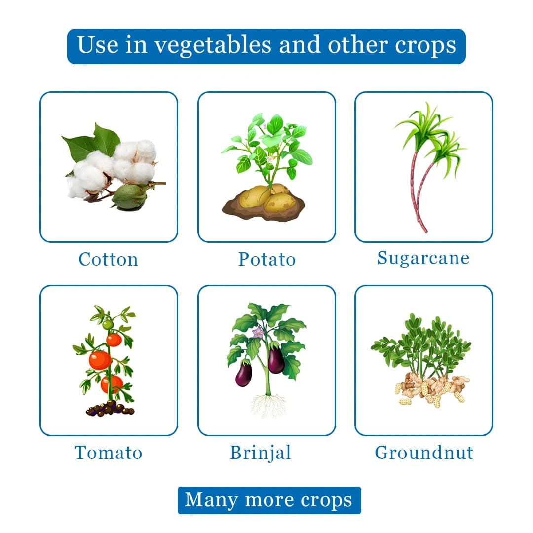 F500 - Larvicide, For Killing All Types of Larva, Spodoptera, Heliothis, Spotted Bollworm, Pink Ballworm, Brinjal Leaf Miner, Sugarcane Bollworm, etc - Image 4