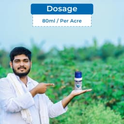 BACF BOXAM - Thiamethoxam 25% WG Insecticide, Systemic And Contact Insecticide 5