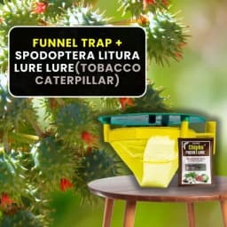 Chipk Pheromone Trap Funnel With Spodoptera Litura Lure For Brown Spotted & Tobacco Caterpillar, Useful In Cotton, Sunflower, Caster, Groundnut Crops. 8