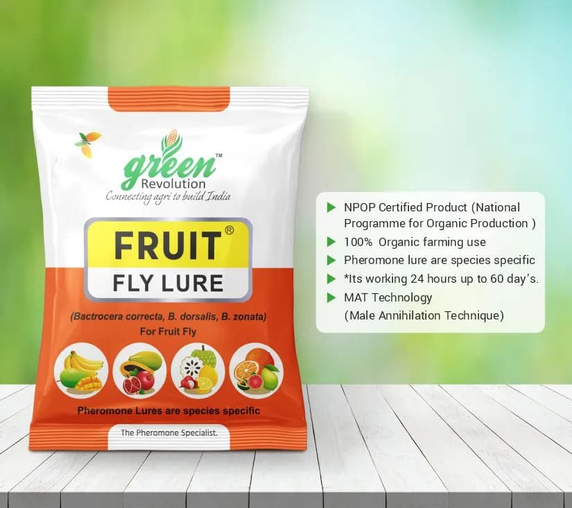 Maxplus Trap with Fruit Fly Lure (Bactrocera Correcta, Zonata, Dorsalisa Pheromone Lure) For Mango, Guava, Sapota, Citrus, Banana, and Papaya - Image 6