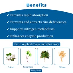 Titan Agritech ZINC PEP 7000, Zinc Oxide 39.5% SC, 100% Water Soluble Fertilizer for Plants and Garden, Liquid Formulation for Cereal, Cotton, Potato 4