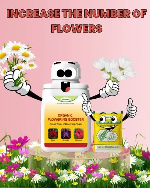 Katyayani Flowering Fertilizer Booster + Mix Micro - Image 6