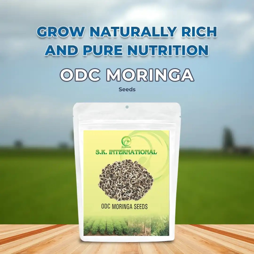S.K. International ODC Moringa Seeds - (Drumstick Seeds)